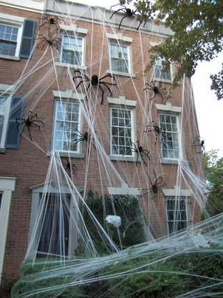 Halloween Spiders 1