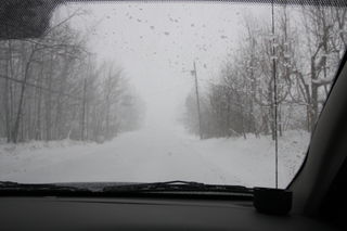IMG_1684 IMG_1684