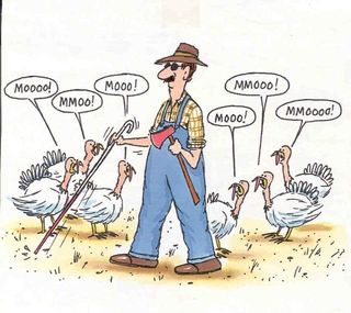 Turkey_day